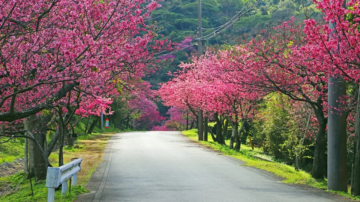 🏞️ 미로쿠 자연공원(미로쿠시젠코엔) 이미지 7